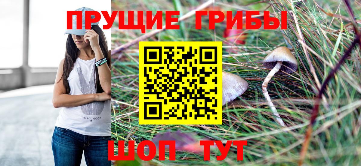 Вышний Волочёк  Псилоцибиновые грибы мицелий  Вход с VPN 
